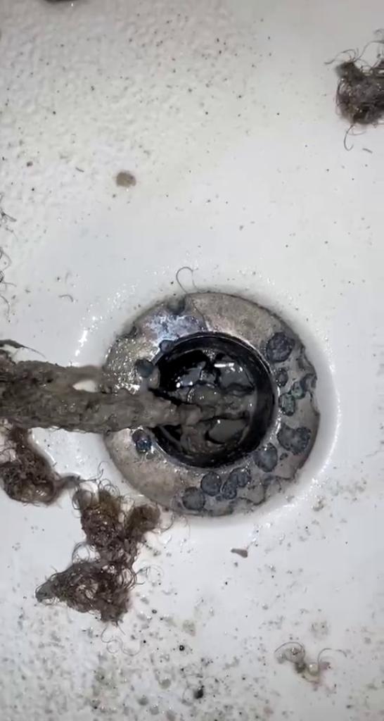 Clogged Drains When To Plunge Snake and When To Call a Plumber